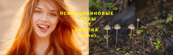 мяу мяу кристалл Заводоуковск