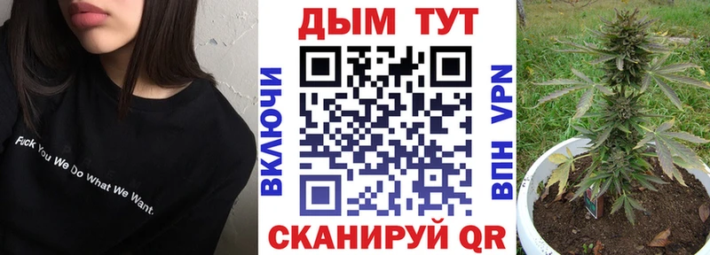 Купить где  Кадников  Бошки марихуана планчик 